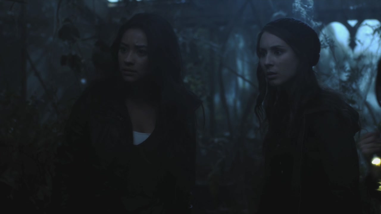 PLL215-00013.jpg