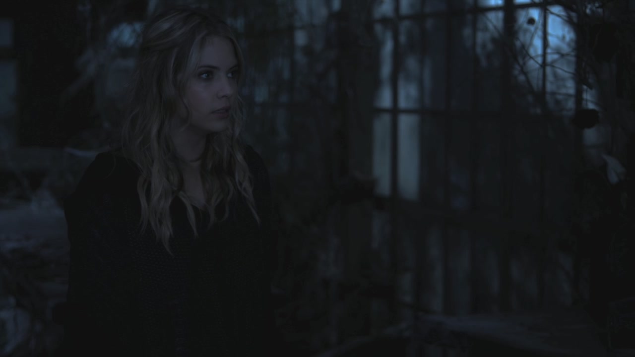 PLL215-00014.jpg