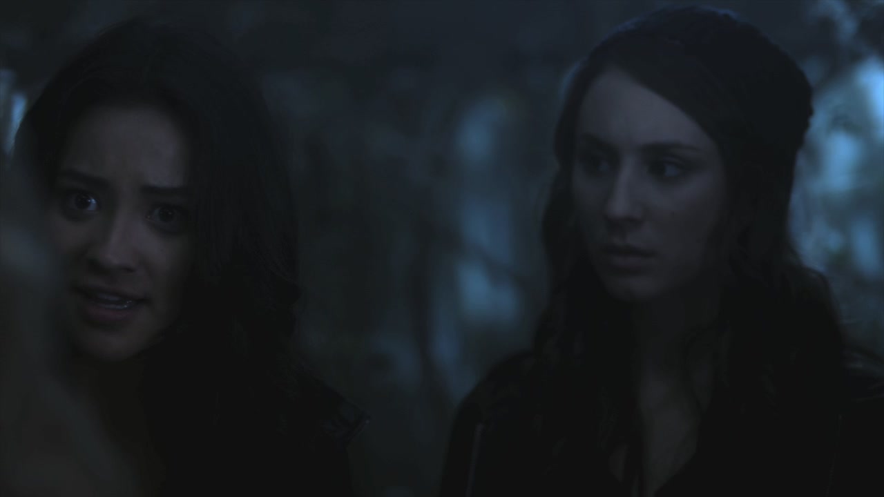 PLL215-00020.jpg