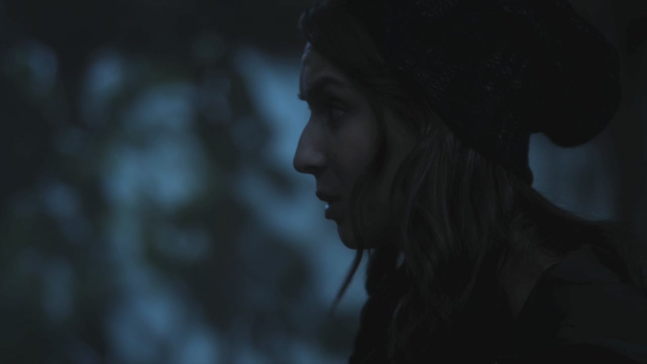 PLL215-00024.jpg