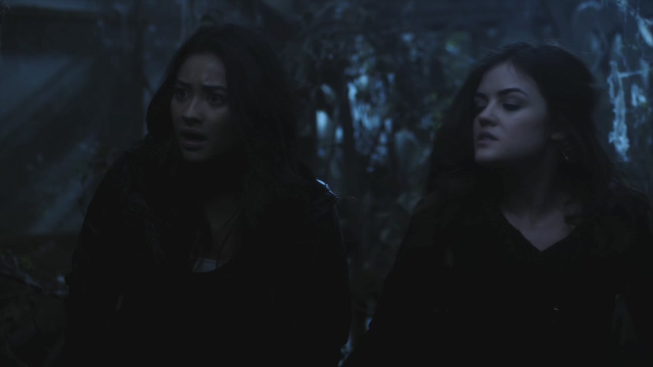 PLL215-00033.jpg