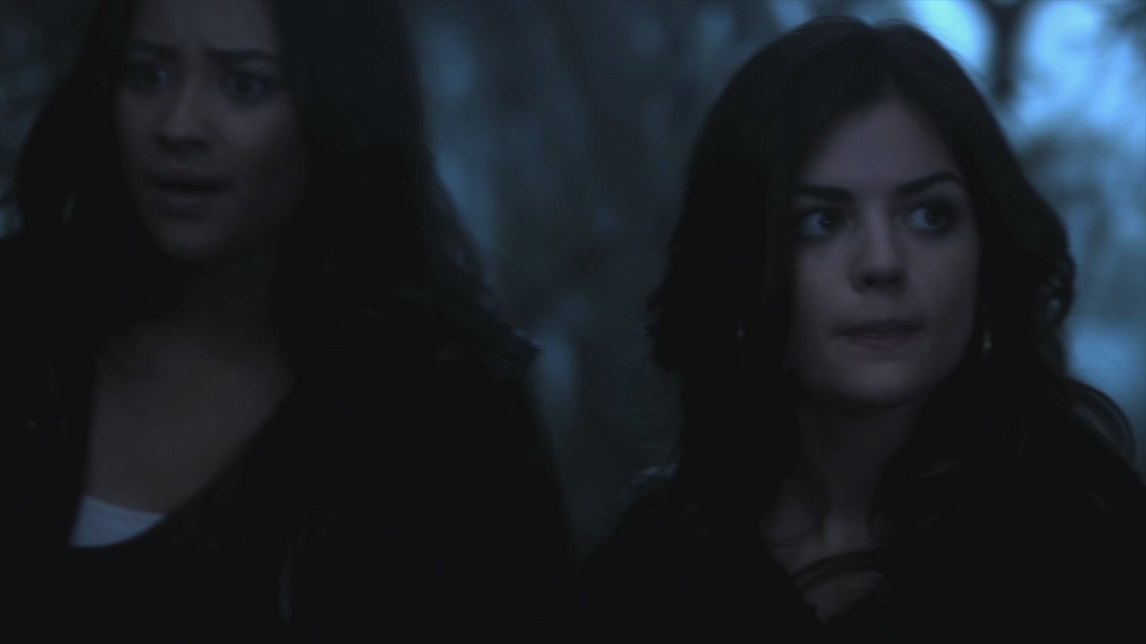 PLL215-00037.jpg