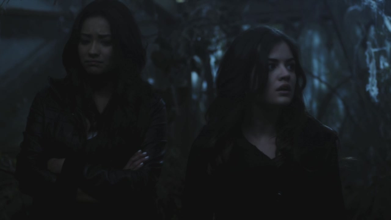 PLL215-00044.jpg