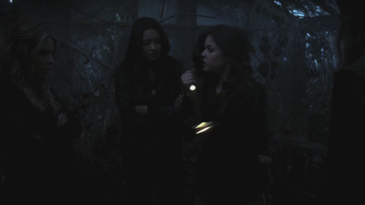 PLL215-00052.jpg