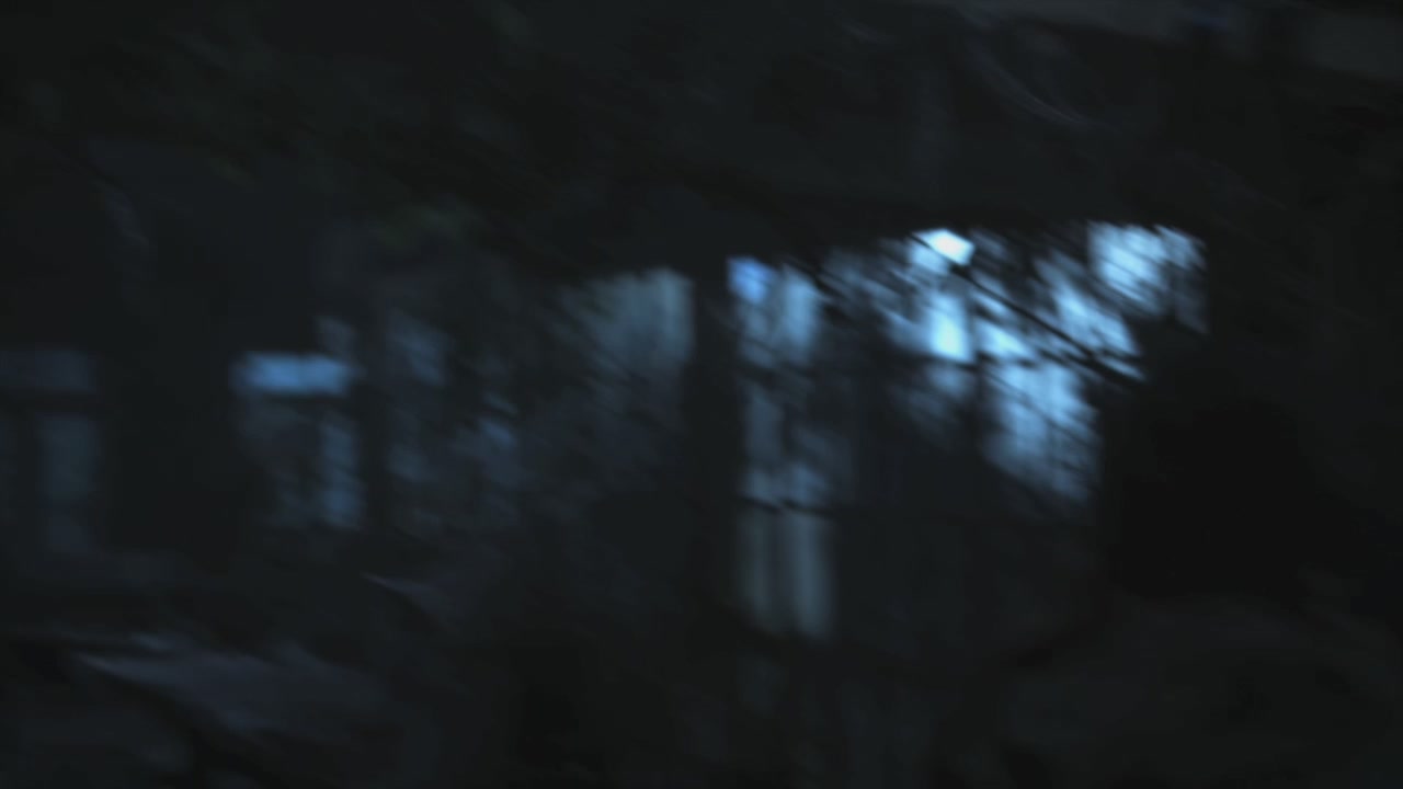 PLL215-00059.jpg