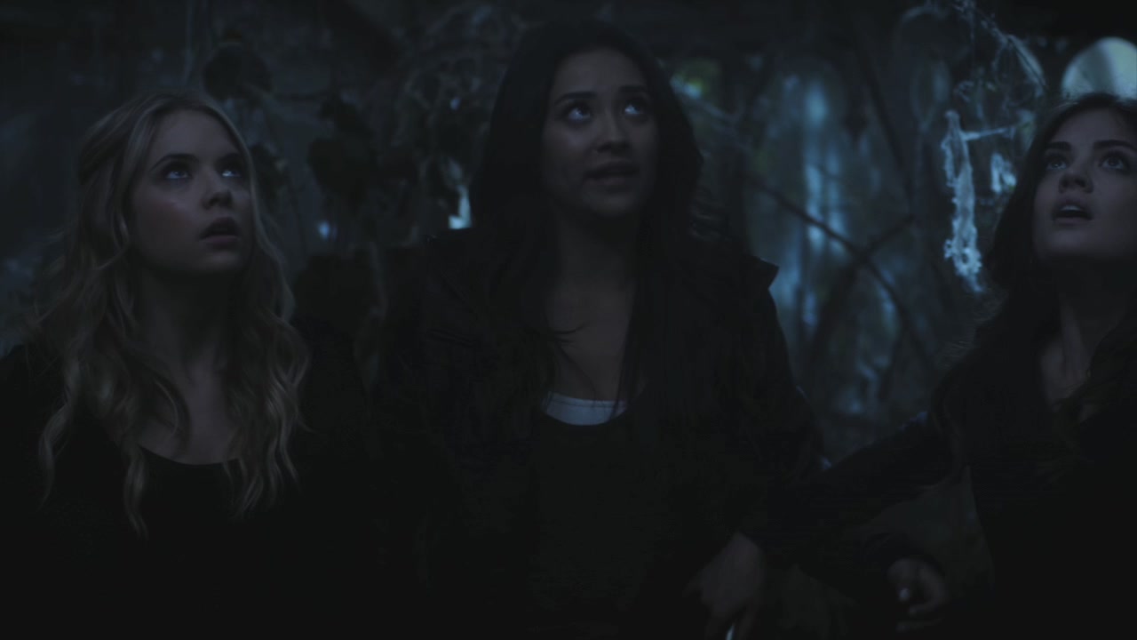 PLL215-00060.jpg
