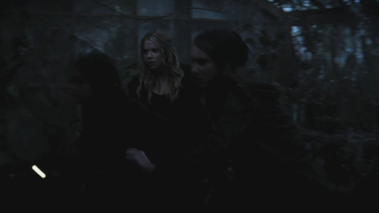 PLL215-00061.jpg