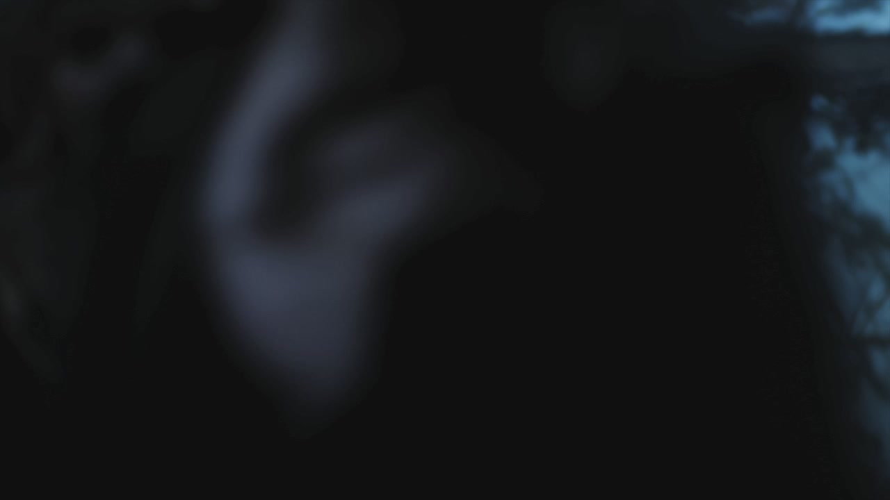 PLL215-00062.jpg
