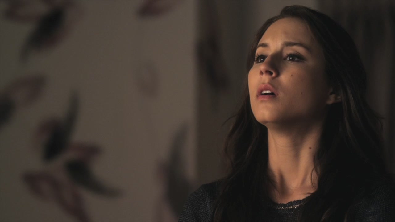 PLL215-00772.jpg