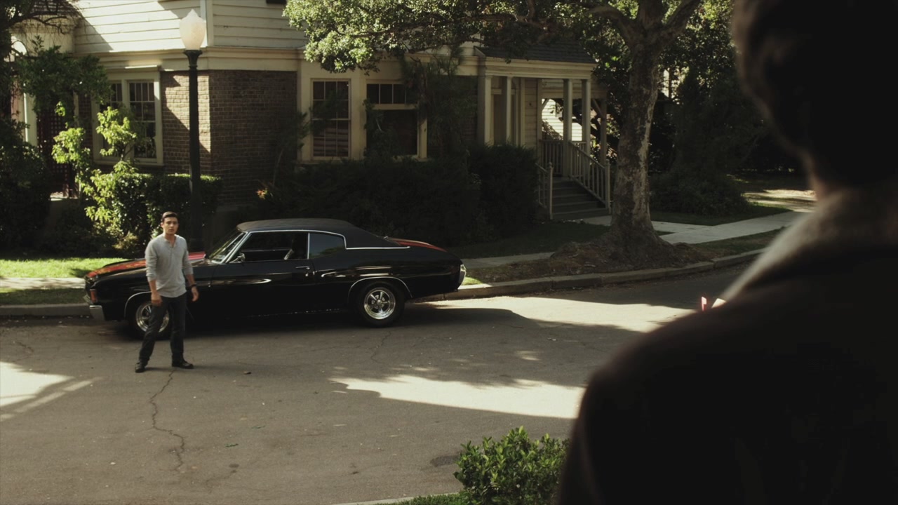 PLL215-00803.jpg