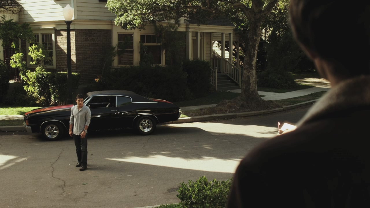 PLL215-00811.jpg