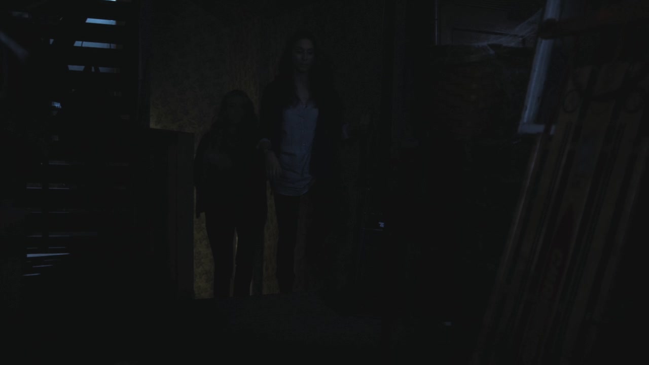 PLL215-00853.jpg