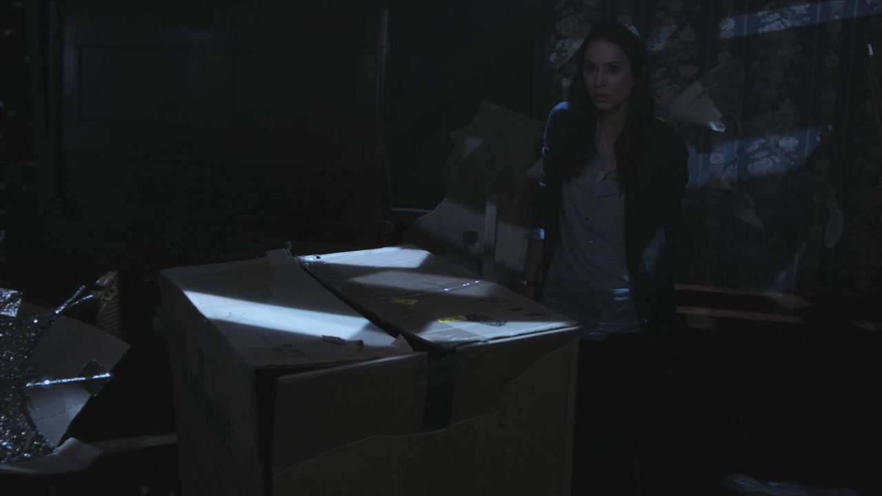 PLL215-00896.jpg