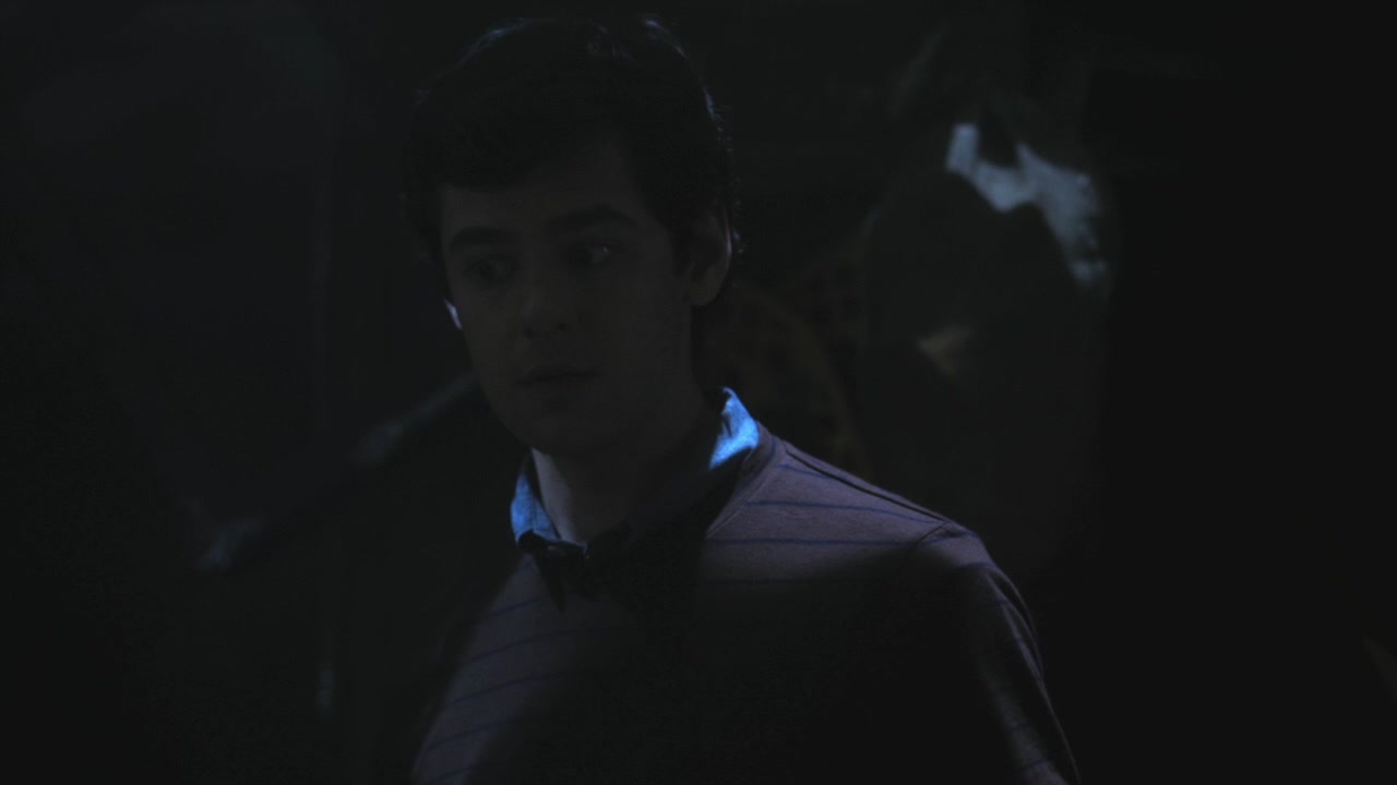 PLL215-00899.jpg