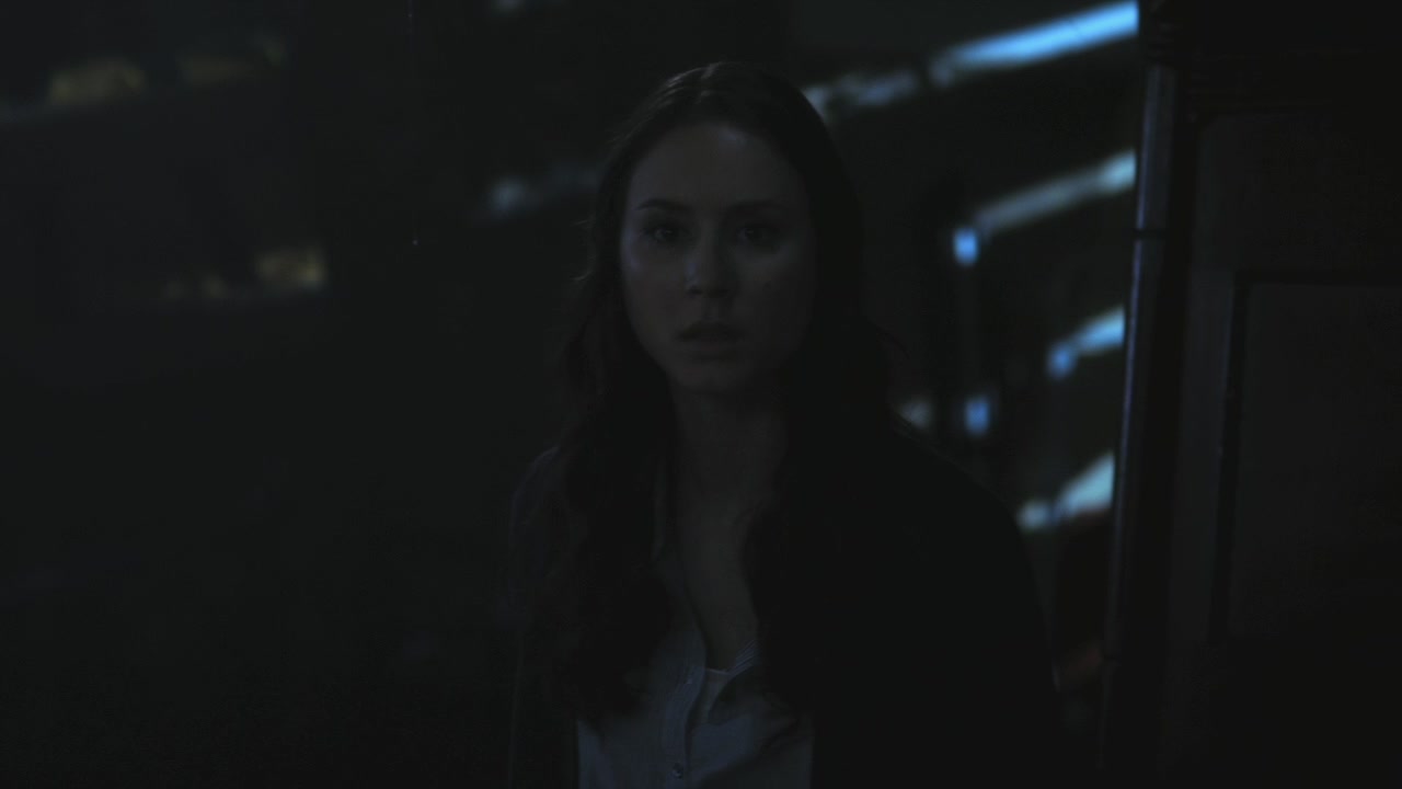 PLL215-00906.jpg