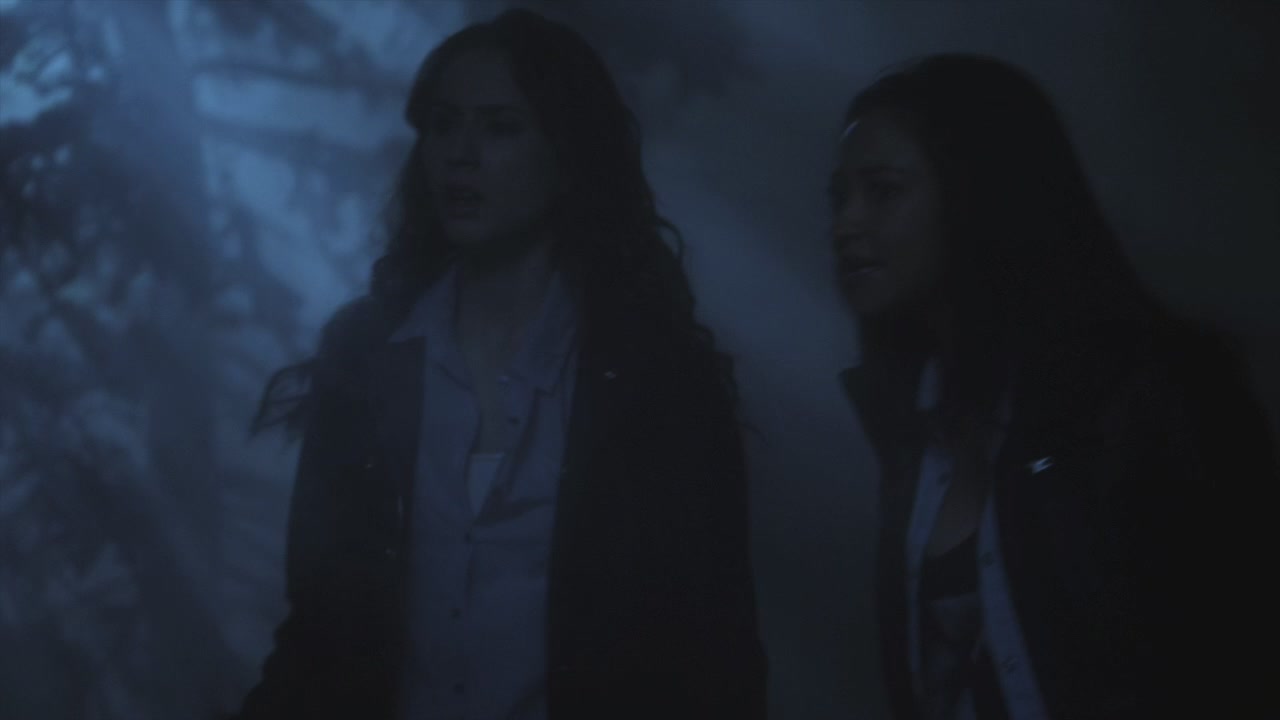 PLL215-01143.jpg