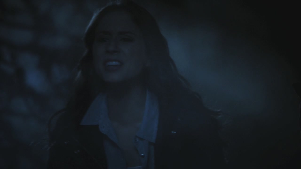 PLL215-01161.jpg