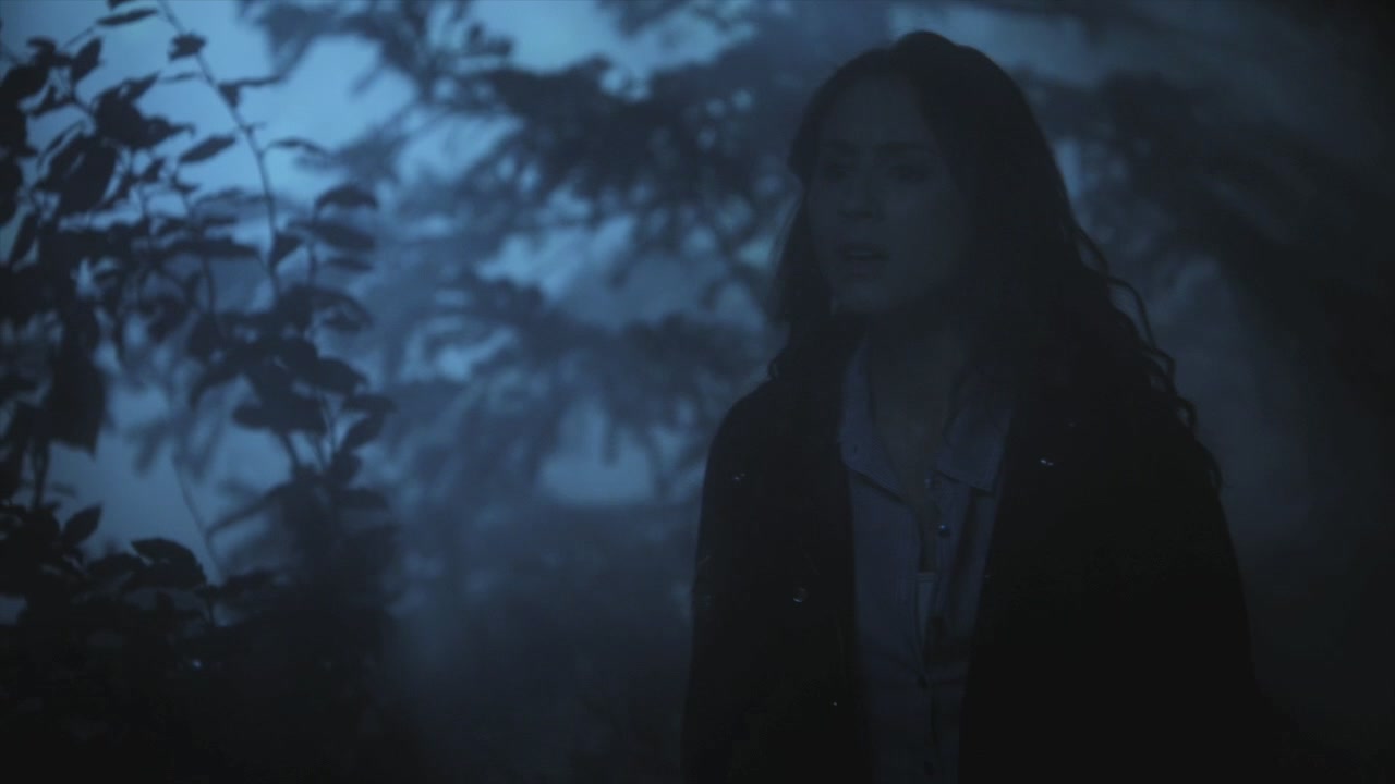 PLL215-01165.jpg