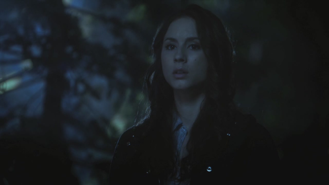 PLL215-01205.jpg
