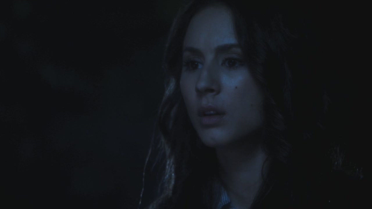 PLL215-01209.jpg