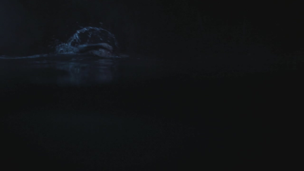 PLL215-01212.jpg