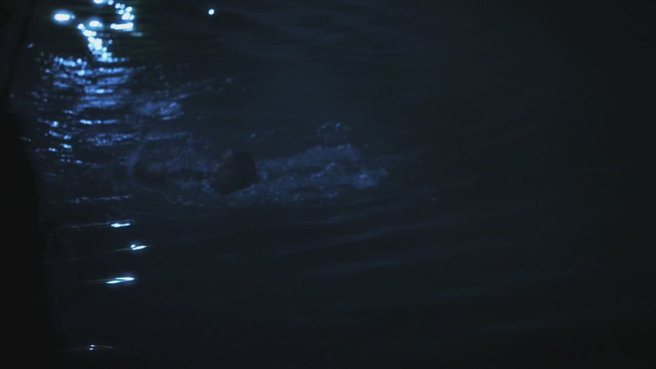 PLL215-01214.jpg