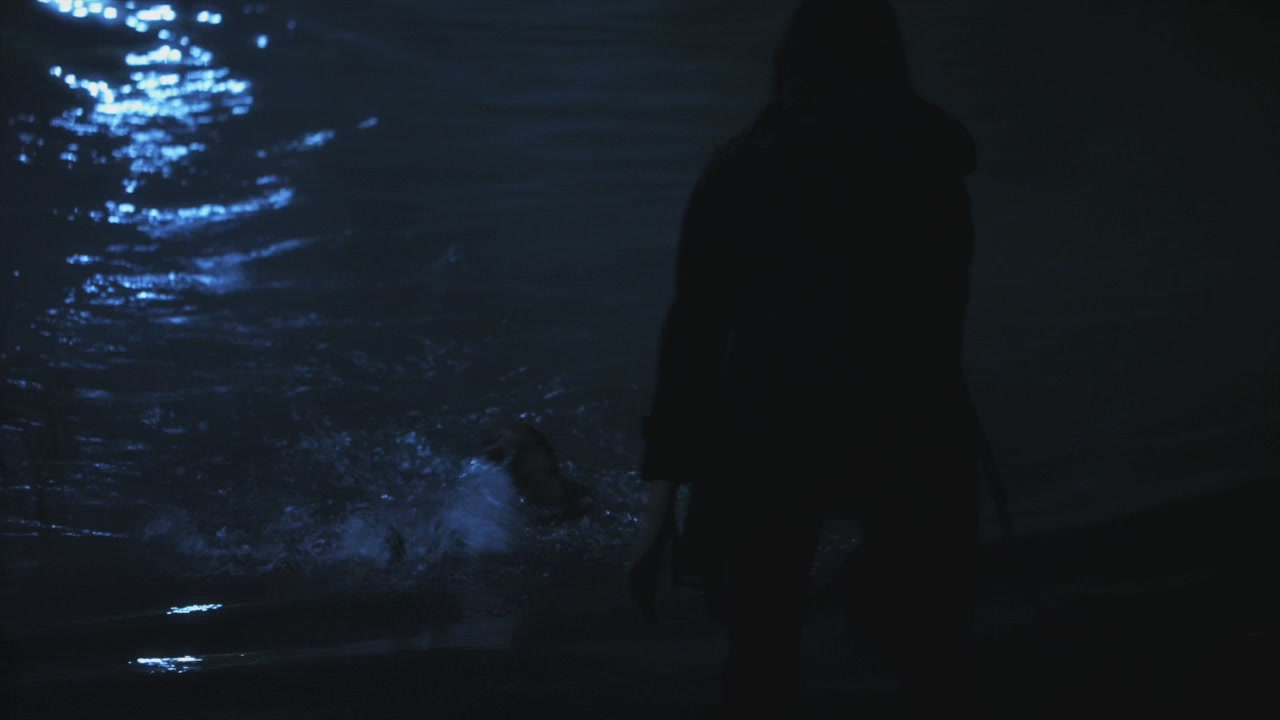 PLL215-01217.jpg