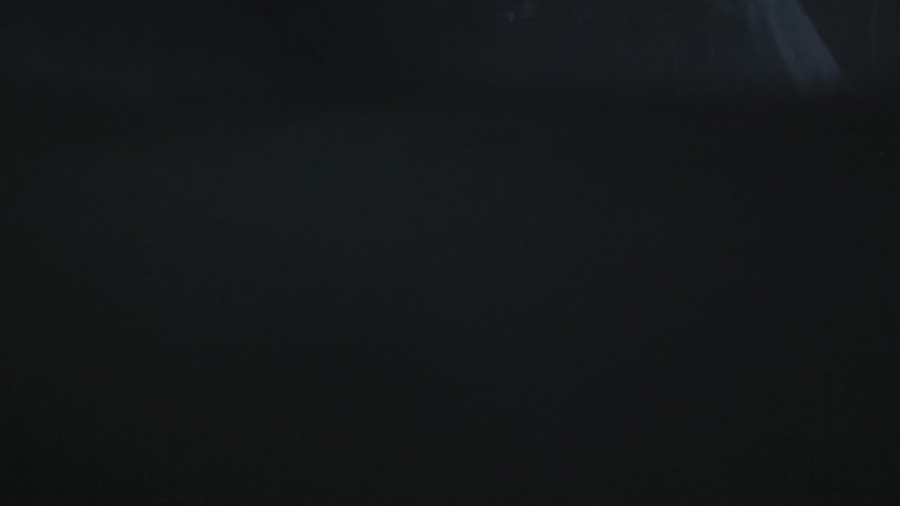 PLL215-01221.jpg