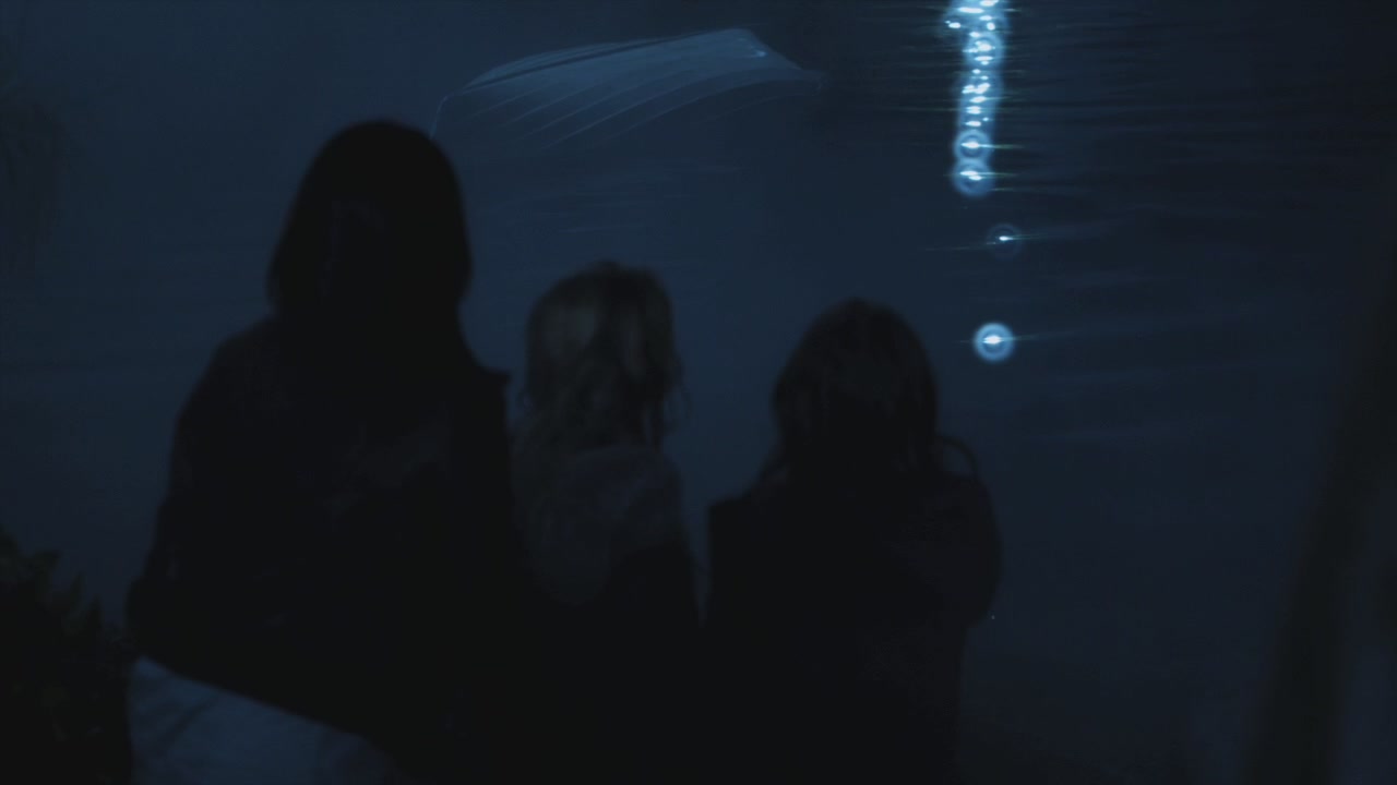 PLL215-01242.jpg