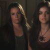 PLL215-00130.jpg