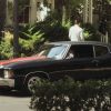 PLL215-00261.jpg