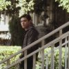 PLL215-00293.jpg