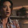PLL215-00497.jpg