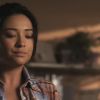 PLL215-00499.jpg