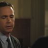 PLL215-00524.jpg