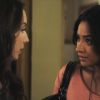 PLL215-00588.jpg
