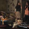 PLL215-00744.jpg