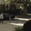 PLL215-00804.jpg