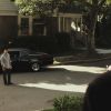 PLL215-00805.jpg