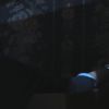 PLL215-00868.jpg