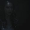PLL215-00902.jpg