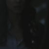 PLL215-00904.jpg
