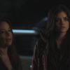 PLL215-00919.jpg