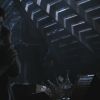 PLL215-00969.jpg