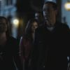 PLL215-00986.jpg