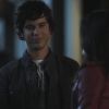 PLL215-00990.jpg