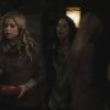 PLL215-01016.jpg