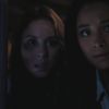 PLL215-01088.jpg