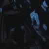 PLL215-01091.jpg