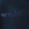 PLL215-01114.jpg